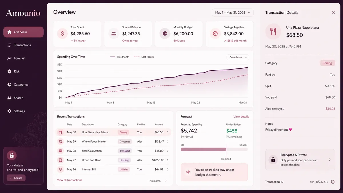 Amounio application overview