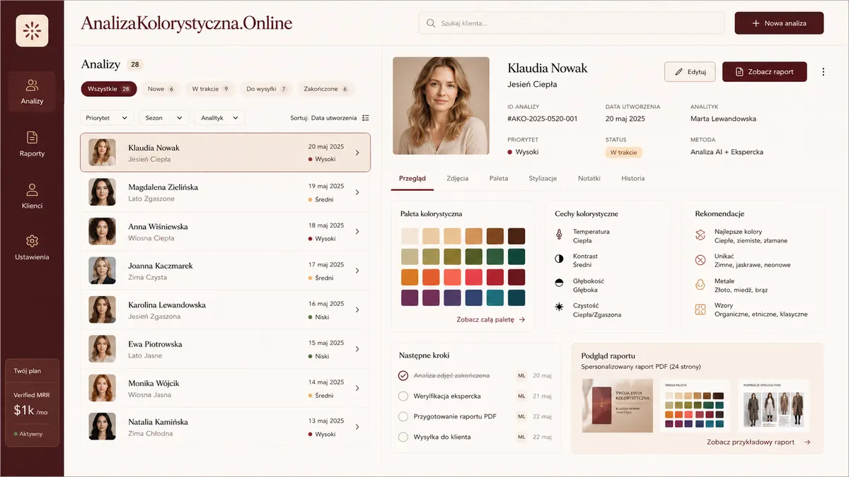 AnalizaKolorystyczna.Online application overview
