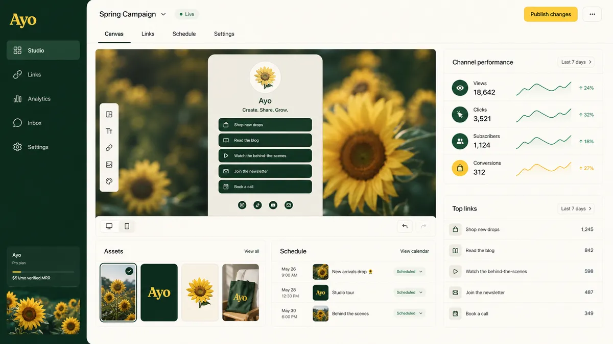 Ayo application overview