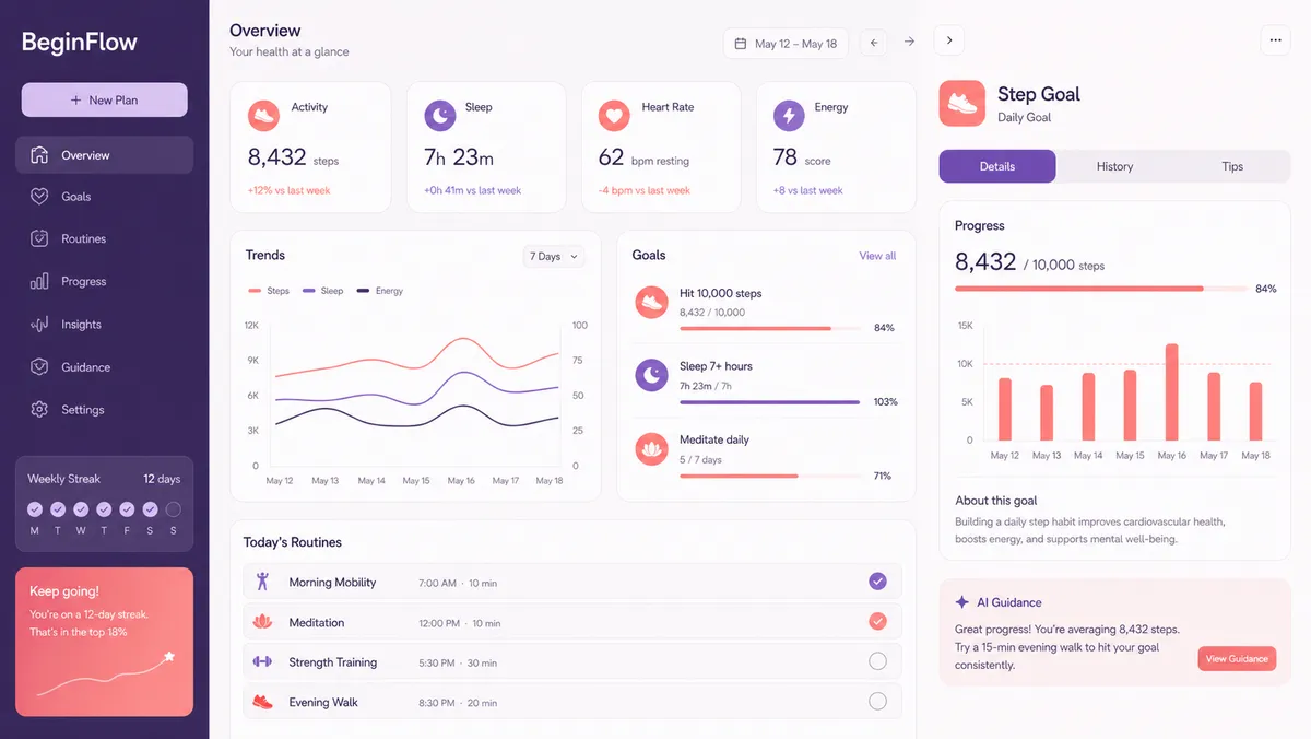 BeginFlow application overview
