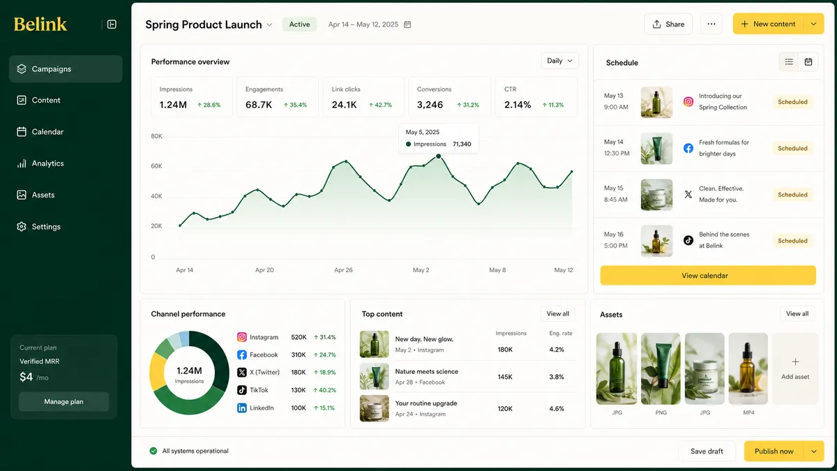 Belink application overview